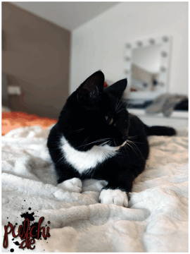 [Session-Life] „Picture my Day“ Day #2025 ~ Mai