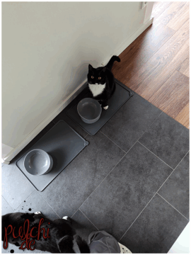 [Session-Life] „Picture my Day“ Day #2025 ~ Mai