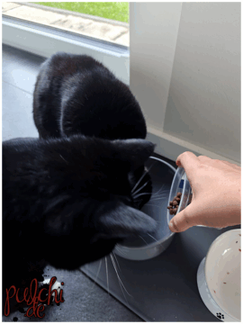 [Session-Life] „Picture my Day“ Day #2025 ~ Mai