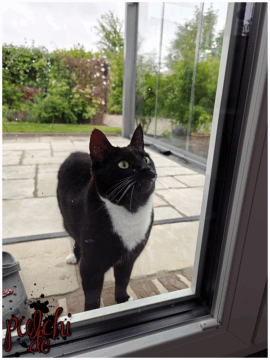 [Session-Life] „Picture my Day“ Day #2025 ~ Mai