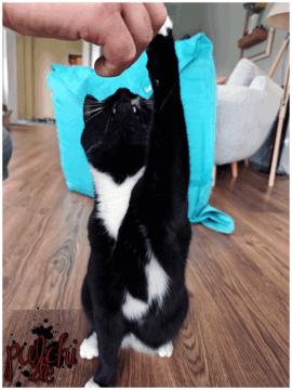 [Session-Life] „Picture my Day“ Day #2025 ~ Mai