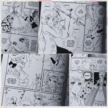 [Review] Manga ~ Lady Oscar ~ Die Rose von Versailles