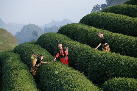 Rundreise Vietnam