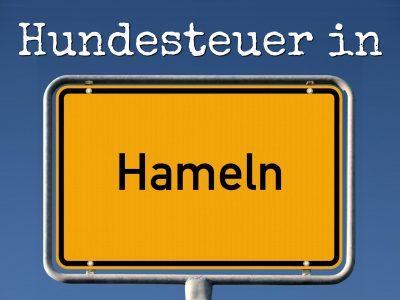Hundesteuer Hameln: Kosten, Anmelden, Befreiung