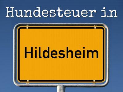 Hundesteuer Hildesheim: Kosten, Anmelden, Befreiung
