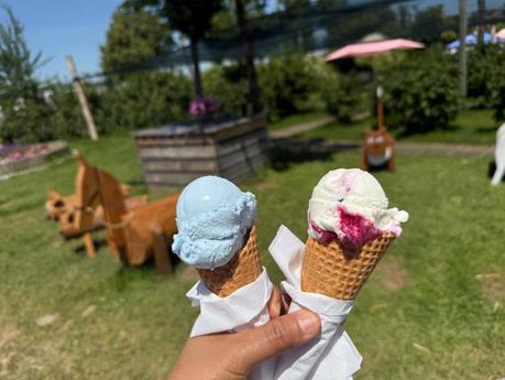 Erdbeeren selbst pflücken auf dem Hofreiter Beerenfeld bei München