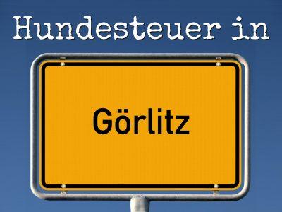 Hundesteuer Görlitz: Kosten, Anmelden, Befreiung