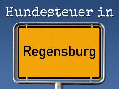 Hundesteuer Regensburg: Kosten, Anmelden, Befreiung