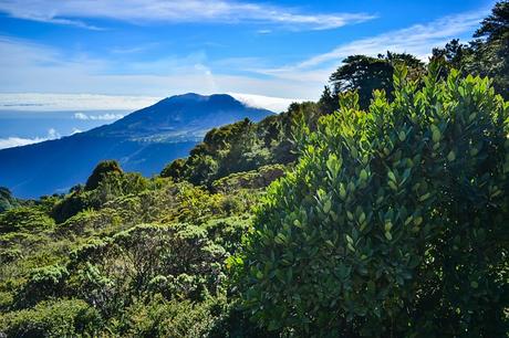 Costa Rica: Vorkehrungen vor und während der Reise für eigene Gesundheit