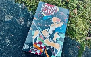[Manga] Demon Slayer [3]