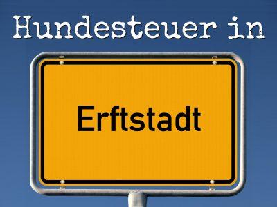 Hundesteuer Erftstadt: Kosten, Anmelden, Befreiung