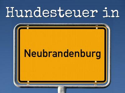 Hundesteuer Neubrandenburg: Kosten, Anmelden, Befreiung