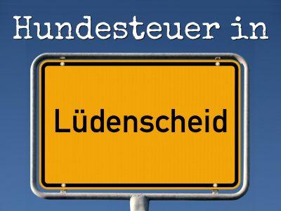 Hundesteuer Lüdenscheid: Kosten, Anmelden, Befreiung