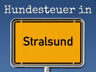 Hundesteuer Stralsund: Kosten, Anmelden, Befreiung