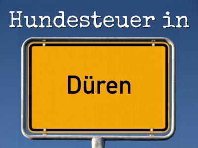 Hundesteuer Düren: Kosten, Anmelden, Befreiung