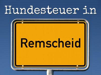 Hundesteuer Remscheid: Kosten, Anmelden, Befreiung