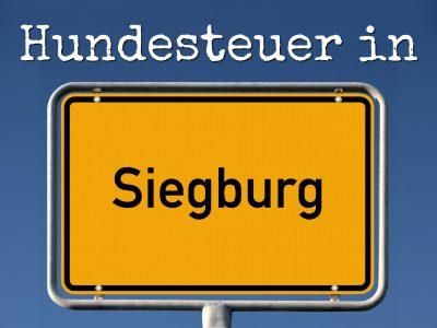 Hundesteuer Siegburg: Kosten, Anmelden, Befreiung