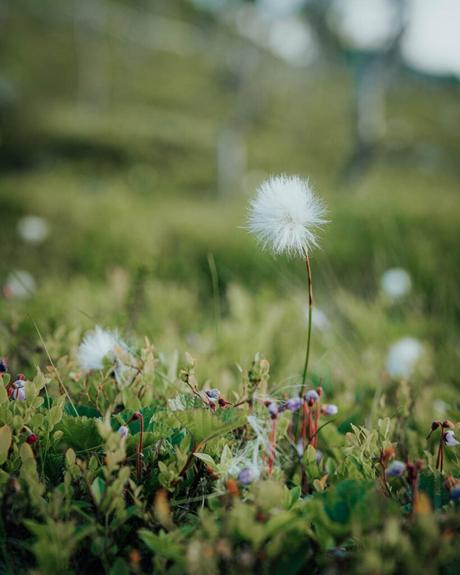 Am Ende Europas und ans Nordkap