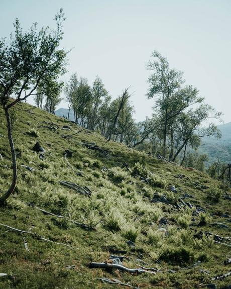 Am Ende Europas und ans Nordkap