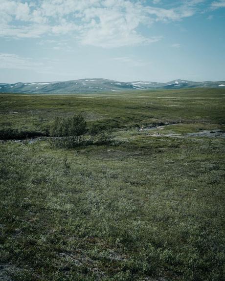 Weite grüne Tundra-Landschaft mit spärlichen Büschen unter einem teilweise bewölkten Himmel und fernen Hügeln.