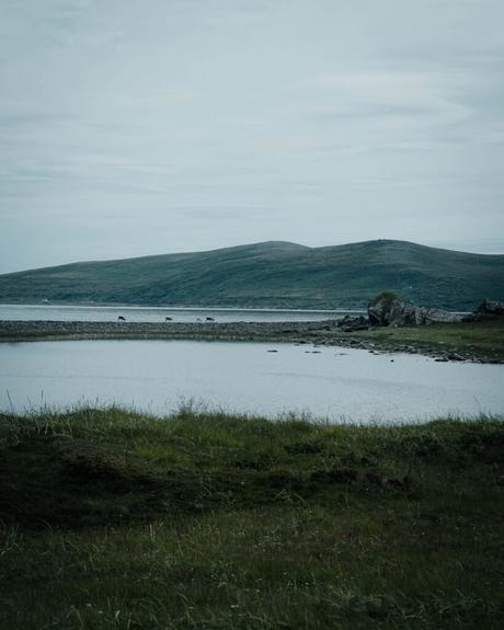 Ein ruhiger See mit fernen Hügeln, wolkenverhangenem Himmel und einer grasbewachsenen Uferlinie im Vordergrund.