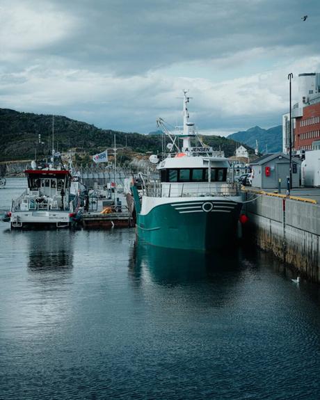 Grünes und weißes Fischerboot, das an einem Hafen angedockt ist, mit Gebäuden und Hügeln im Hintergrund unter bewölktem Himmel.