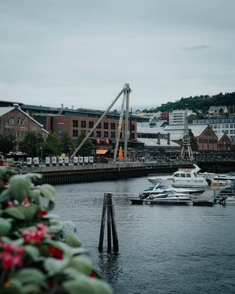 Ein kleiner Jachthafen mit angedockten Booten in der Nähe von Backsteingebäuden an einem bewölkten Tag, Blumen im Vordergrund.