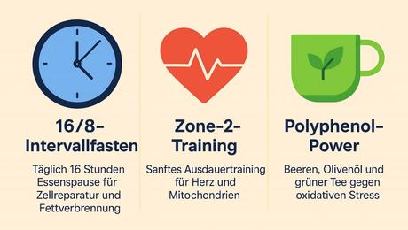 Longevity Hacks fuer deinen Alltag