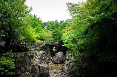 Eine steinerne Brücke führt über einen felsigen Bach, der von üppig grünen Bäumen und Blättern umgeben ist und eine malerische Kulisse für Ihre nächste Reisezeit bietet.