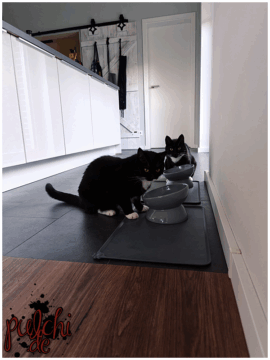 [Session-Life] „Picture my Day“ Day #2025 ~ Juli