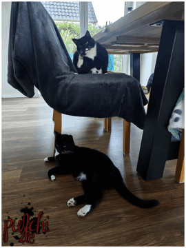 [Session-Life] „Picture my Day“ Day #2025 ~ Juli