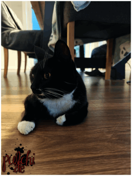 [Session-Life] „Picture my Day“ Day #2025 ~ Juli