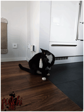 [Session-Life] „Picture my Day“ Day #2025 ~ Juli