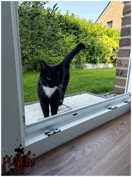 [Session-Life] „Picture my Day“ Day #2025 ~ Juli