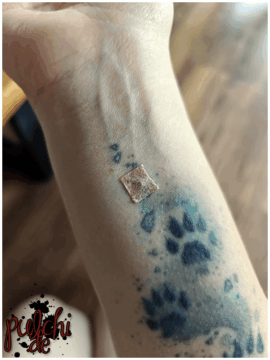 [Session-Life] „Picture my Day“ Day #2025 ~ Juli