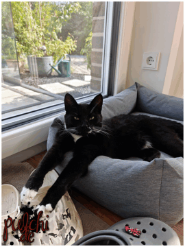 [Session-Life] „Picture my Day“ Day #2025 ~ Juli