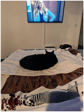 [Session-Life] „Picture my Day“ Day #2025 ~ Juli