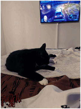 [Session-Life] „Picture my Day“ Day #2025 ~ Juli