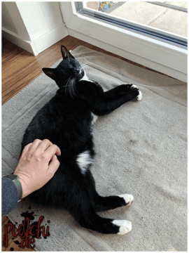 [Session-Life] „Picture my Day“ Day #2025 ~ Juli