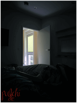 [Session-Life] „Picture my Day“ Day #2025 ~ Juli