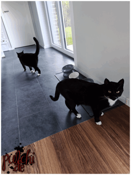 [Session-Life] „Picture my Day“ Day #2025 ~ Juli