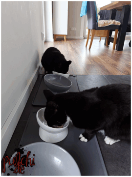 [Session-Life] „Picture my Day“ Day #2025 ~ Juli