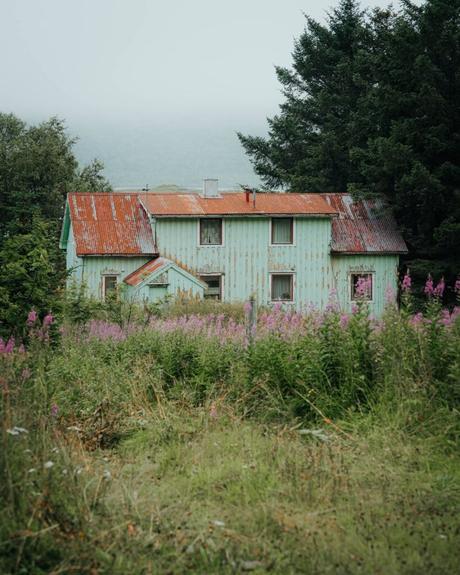 Ein altes, blassgrünes Haus mit verrostetem Dach steht hinter hohem Gras und lila Wildblumen, umgeben von Bäumen.