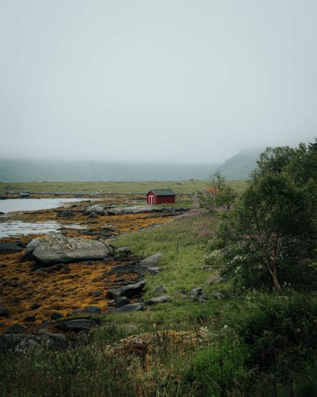 Lofoten Rundreise mit dem eigenen Auto