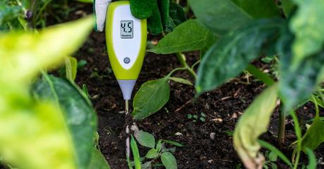 Pflanzen Feuchtigkeitsmesser Test