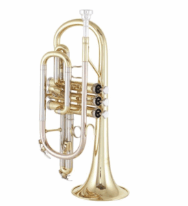 Wiesn Hits: Die besten Lieder zum Spielen auf deinem Instrument