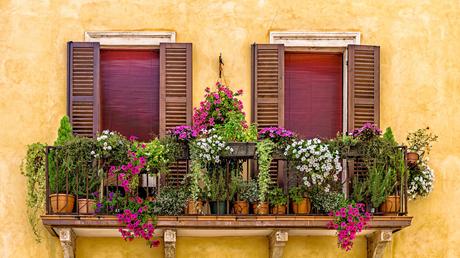 Blumenkästen bepflanzen mit romantischen Verbenen in Rosa- und Violetttönen