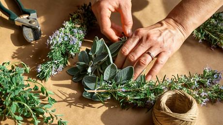 Blumenkästen bepflanzen mit Kräutern für Küche und Balkon