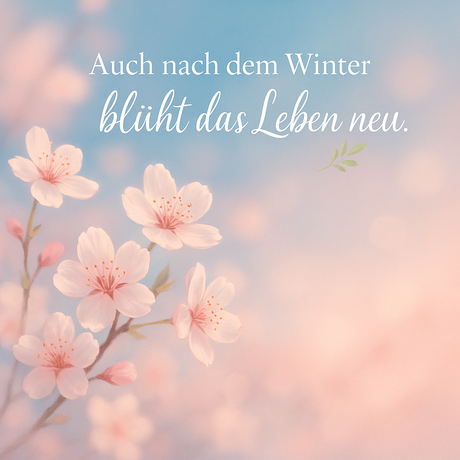 Die Seele hilft heilen von Kai-Achim Bruder