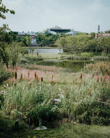 Ein friedlicher Park mit hohen Gräsern, einem Teich und weit entfernten Gebäuden unter einem teilweise bewölkten Himmel.